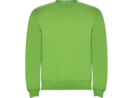 SWEATSHIRT NEW CLASSIC S/11/12 OASIS GRÜN