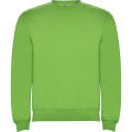 CLASICA SWEATSHIRT S/XS OASIS GREEN