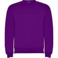 CLASICA SWEATSHIRT S/XS PURPLE