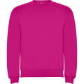 CLASICA SWEATSHIRT S/XS ROSETTE