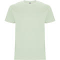 STAFFORD T-SHIRT S/S MIST GREEN