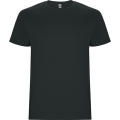 STAFFORD T-SHIRT S/S DARK LEAD