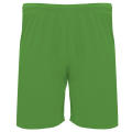 DORTMUND PANTS S/S FERN GREEN