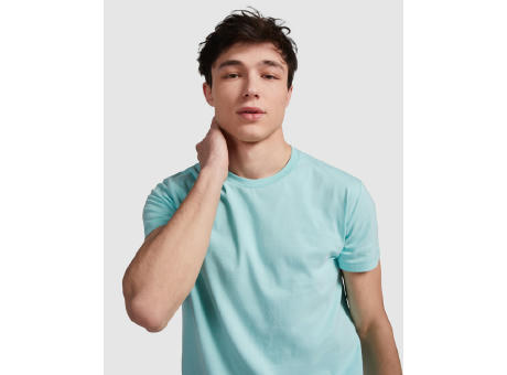 GOLDEN T-SHIRT S/S MINT GREEN