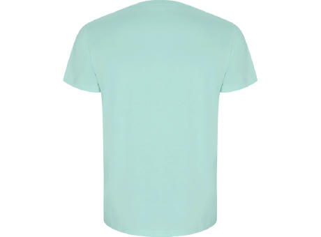 GOLDEN T-SHIRT S/S MINT GREEN