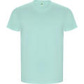 GOLDEN T-SHIRT S/S MINT GREEN