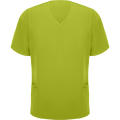 FEROX T-SHIRT S/S PISTACHIO