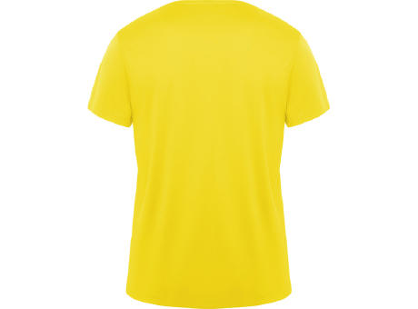 DAYTONA T-SHIRT S/S YELLOW