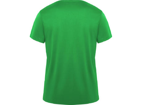 DAYTONA T-SHIRT S/S FERN GREEN