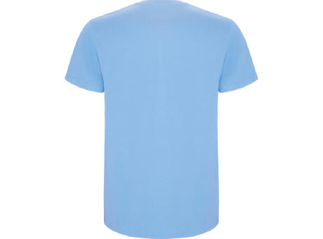 STAFFORD T-SHIRT S/S SKY BLUE