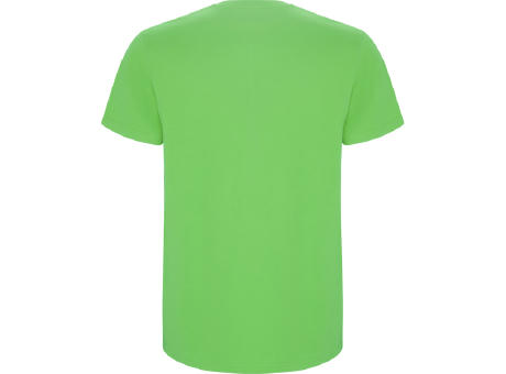 STAFFORD T-SHIRT S/S OASIS GREEN