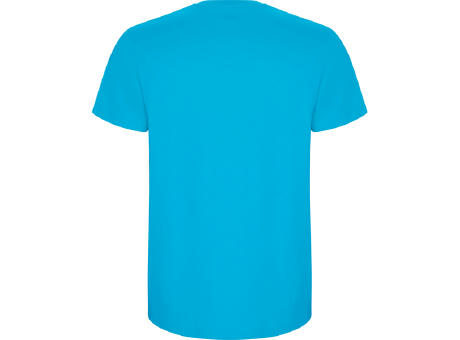 STAFFORD T-SHIRT S/S TURQUOISE