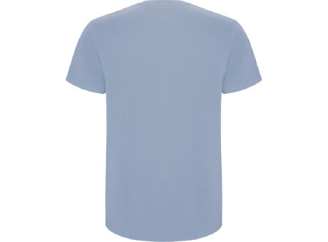 STAFFORD T-SHIRT S/S ZEN BLUE