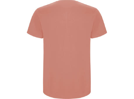 STAFFORD T-SHIRT S/S CLAY ORANGE