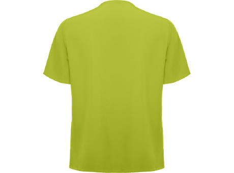 FEROX T-SHIRT S/S PISTACHIO