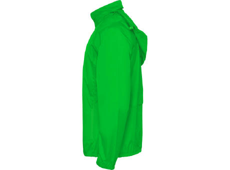 WINDJACKE KENTUCKY S/L LIMETTE