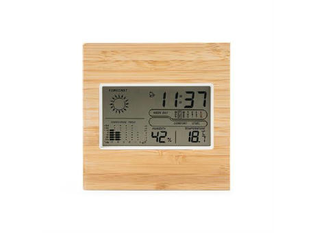 WEATHER STATION KELVIN NATURAL