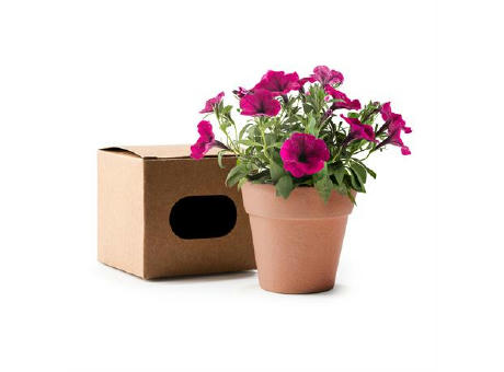 FLOWERPOT VOLEN NATURAL