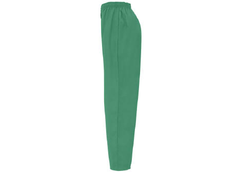 VADEMECUM PANTS S/XL GREEN LAB