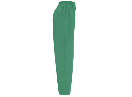 VADEMECUM PANTS S/XL GREEN LAB