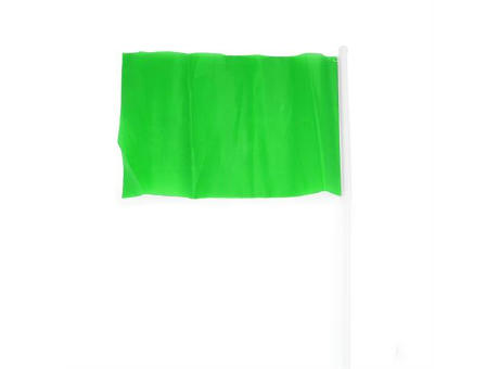 CELEB FLAG FERN GREEN