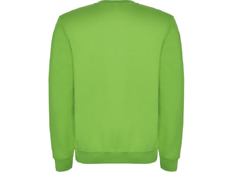 CLASICA SWEATSHIRT S/XS OASIS GREEN