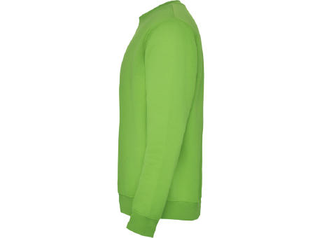 CLASICA SWEATSHIRT S/XS OASIS GREEN