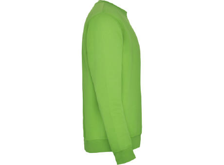 CLASICA SWEATSHIRT S/XS OASIS GREEN