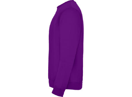 CLASICA SWEATSHIRT S/XS PURPLE