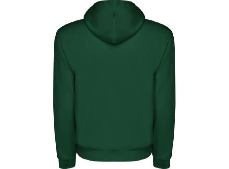 CAPUCHA SWEATSHIRT S/S BOTTLE GREEN