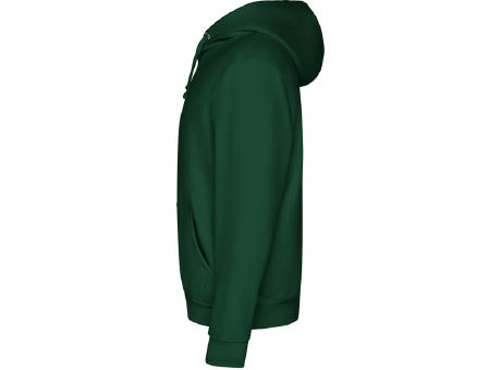 CAPUCHA SWEATSHIRT S/S BOTTLE GREEN