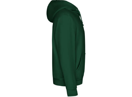 CAPUCHA SWEATSHIRT S/S BOTTLE GREEN