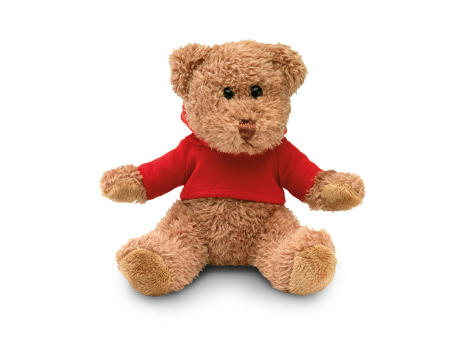 Teddybär mit Hoody