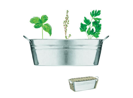 Zinc tub with 3 herbs seeds