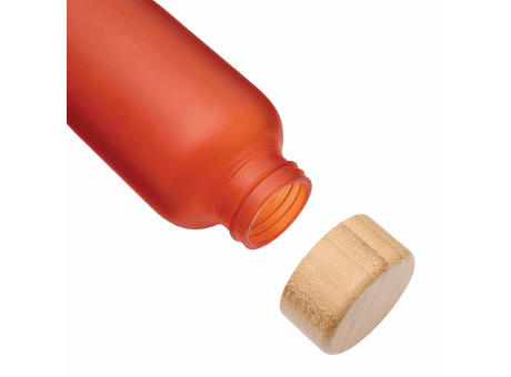 TAKE FROSTY - Glas-Flasche