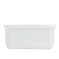 Lunchbox NOONTIME