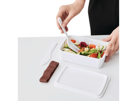 Lunchbox NOONTIME