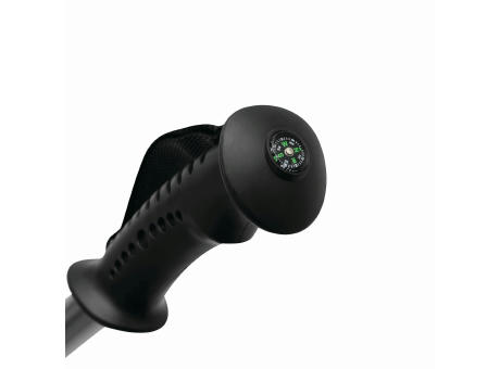 FIT AND FUN - Ausziehbare Trekking-Stöcke