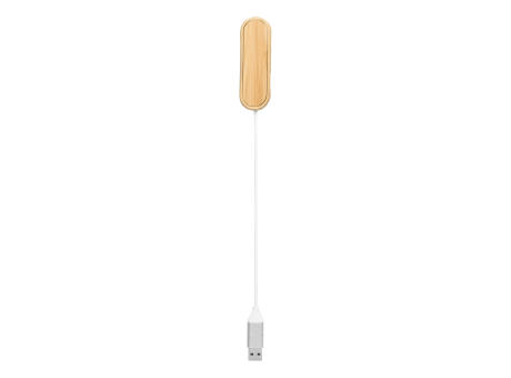 USB Hub MULTIPLIER