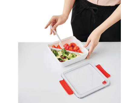 DELICIOUS - Lunchbox