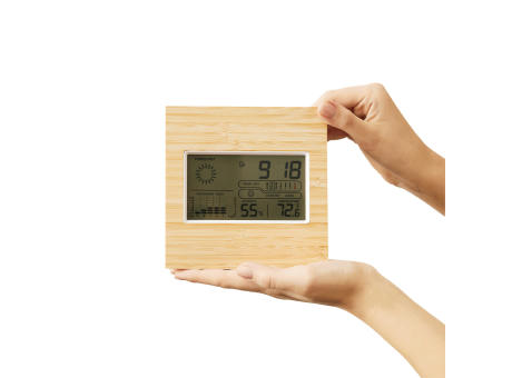 Wetterstation FORECAST