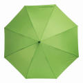 Windproof-Stockschirm WIND