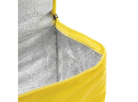 Kühltasche CELSIUS