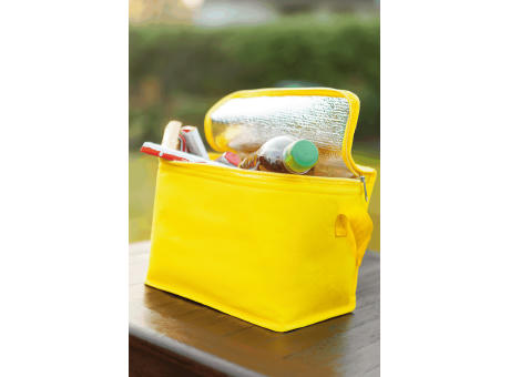 Kühltasche CELSIUS