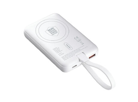 Magnetische 15W Wireless Powerbank REEVES-WATTRON PLUS X