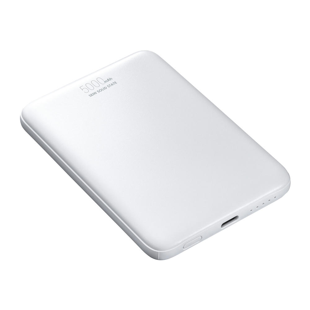 Magnetische 15W Wireless Powerbank REEVES-WATTRON PLUS V