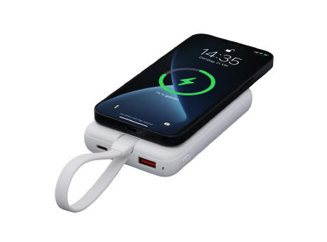 Magnetische 15W Wireless Powerbank REEVES-WATTRON PLUS X