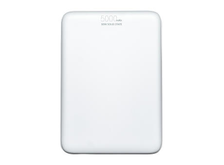 Magnetische 15W Wireless Powerbank REEVES-WATTRON PLUS V