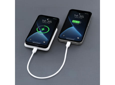 Magnetische 15W Wireless Powerbank REEVES-WATTRON PLUS V