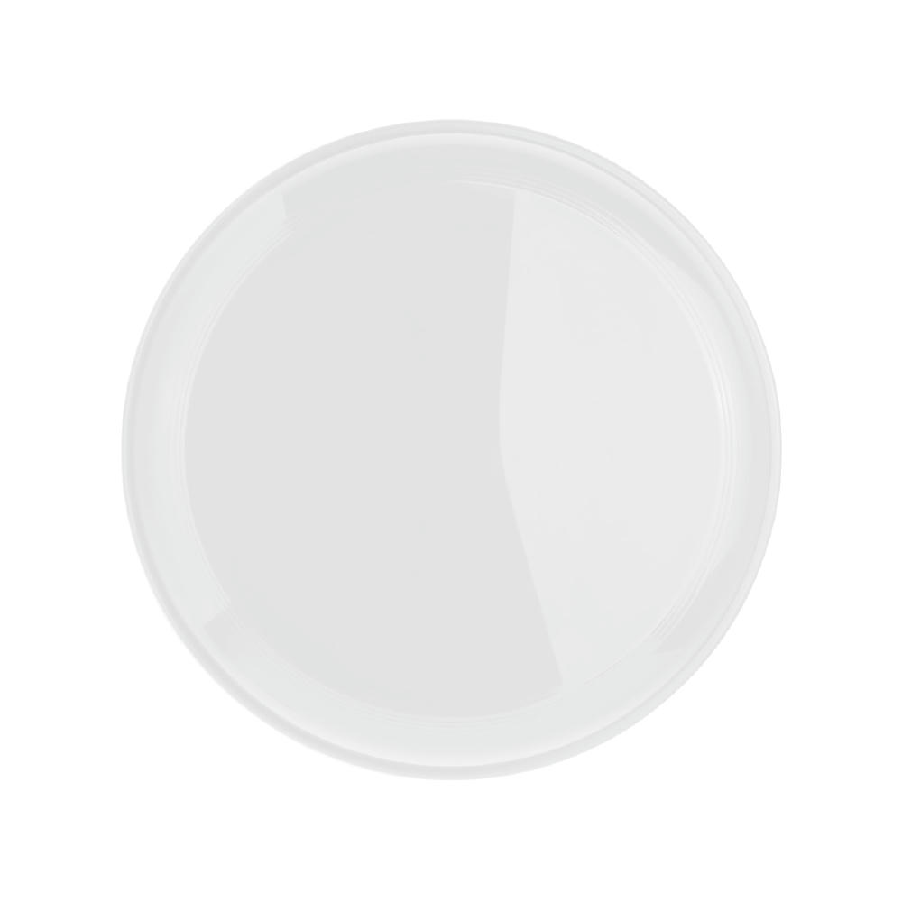 Wurfscheibe "Jupiter"